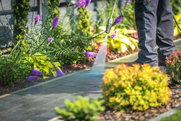 Merrydale, LA  Pressure Washing Services Company